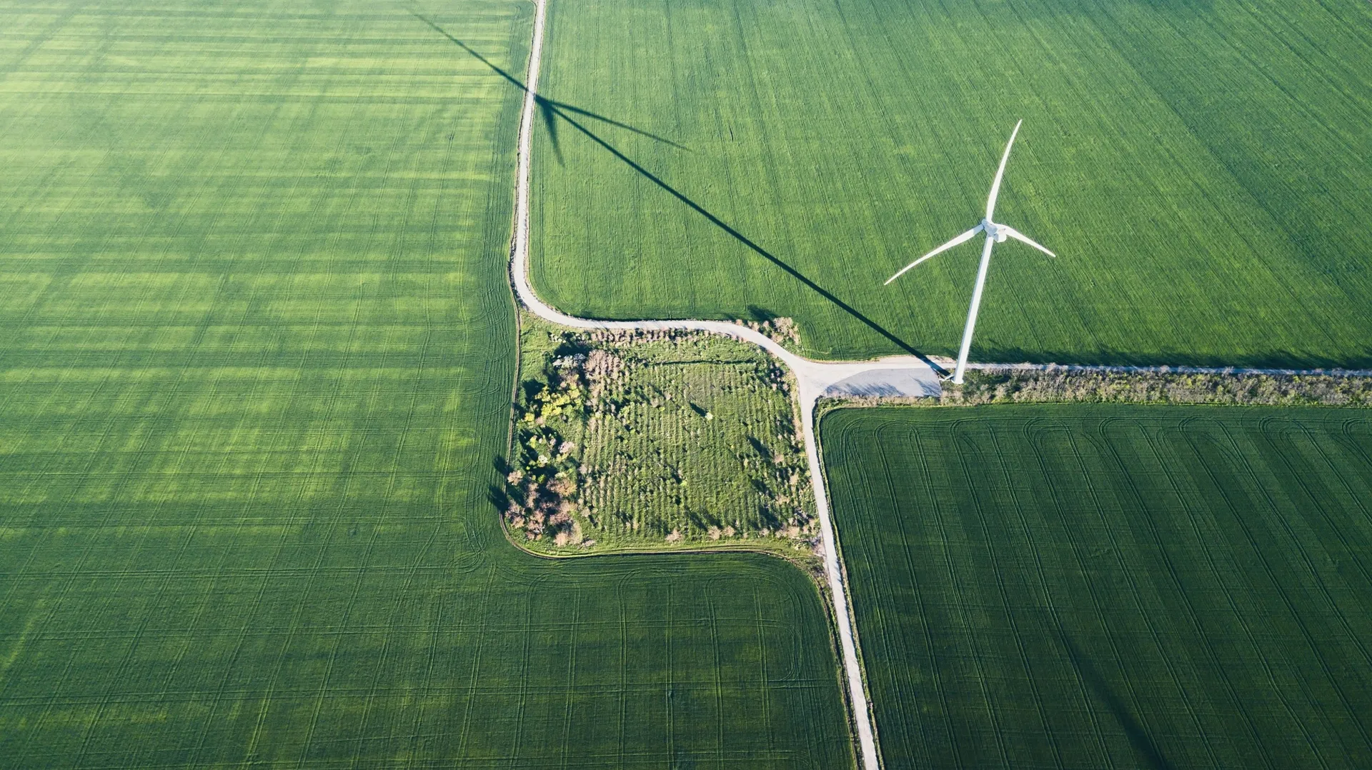 Image showing  wind-power-station-on-the-field-concept-and-idea-of-alternative-energy-development-1095561110